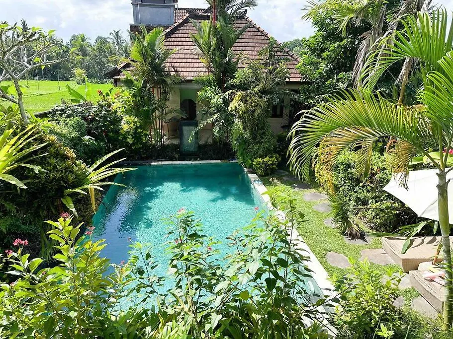 Beautiful Villa Private Pool Walk To Town Center Sunrise Views Ubud