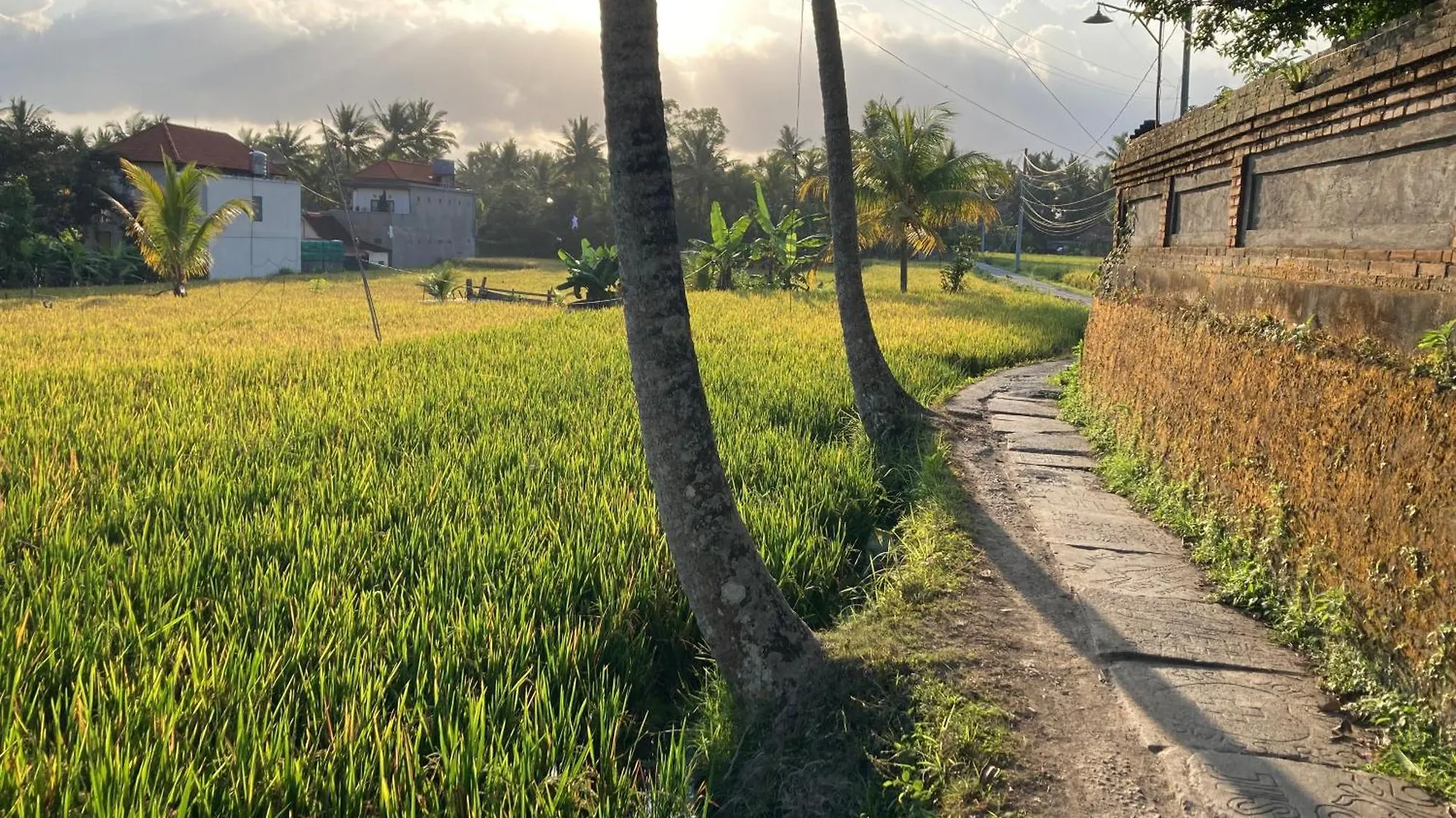 Beautiful Villa Private Pool Walk To Town Center Sunrise Views Ubud